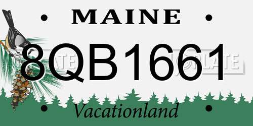 8QB1661 Maine License Plate