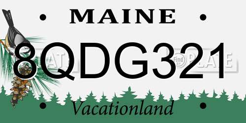 8QDG321 Maine License Plate