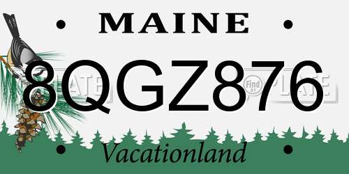 8QGZ876 Maine License Plate