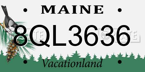 8QL3636 Maine License Plate
