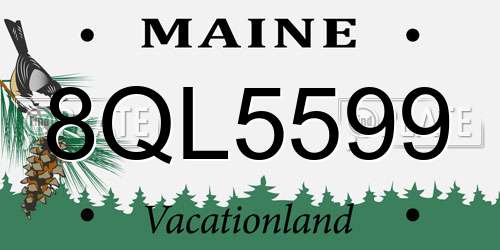 8QL5599 Maine License Plate