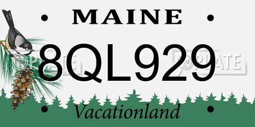 8QL929 Maine License Plate