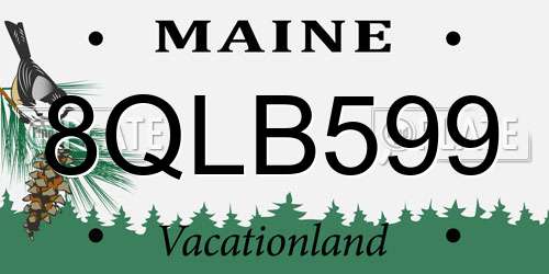 8QLB599 Maine License Plate