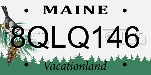 8QLQ146 Maine License Plate