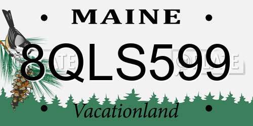 8QLS599 Maine License Plate