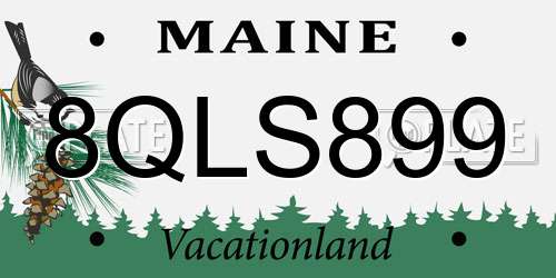 8QLS899 Maine License Plate