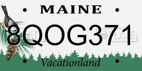 8QOG371 Maine License Plate
