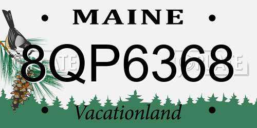 8QP6368 Maine License Plate