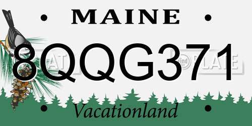 8QQG371 Maine License Plate
