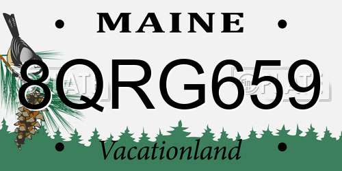 8QRG659 Maine License Plate