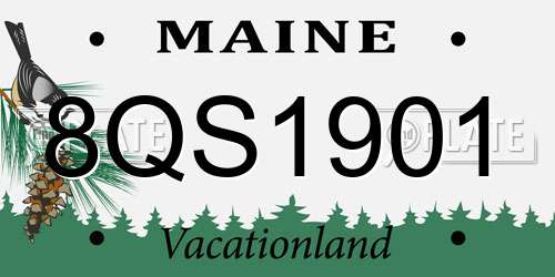 8QS1901 Maine License Plate
