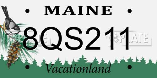 8QS211 Maine License Plate