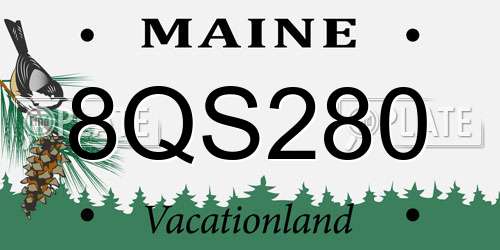 8QS280 Maine License Plate
