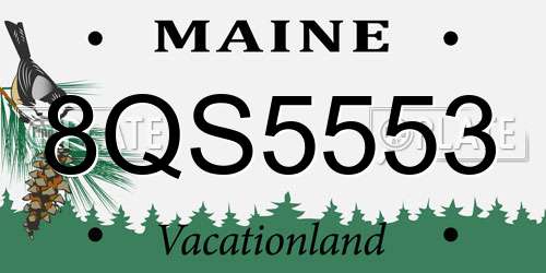 8QS5553 Maine License Plate
