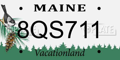 8QS711 Maine License Plate