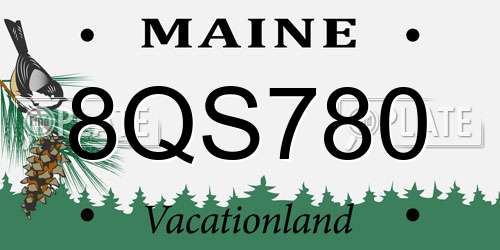 8QS780 Maine License Plate