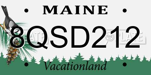 8QSD212 Maine License Plate