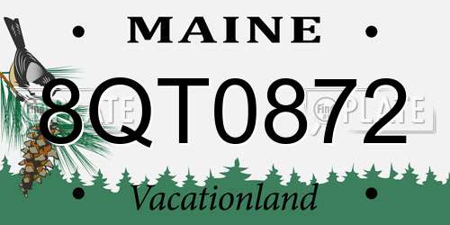 8QT0872 Maine License Plate