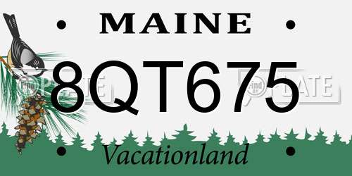 8QT675 Maine License Plate