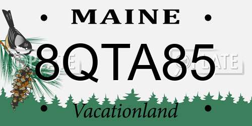 8QTA85 Maine License Plate