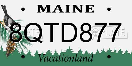 8QTD877 Maine License Plate