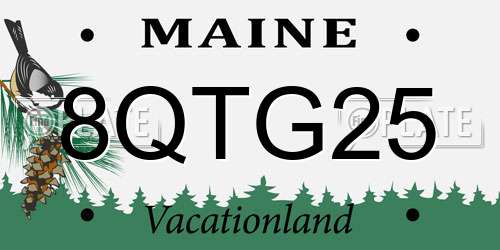 8QTG25 Maine License Plate