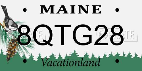 8QTG28 Maine License Plate