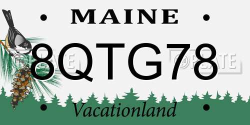 8QTG78 Maine License Plate