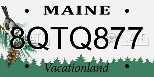 8QTQ877 Maine License Plate