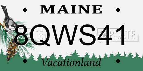 8QWS41 Maine License Plate