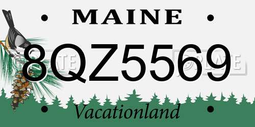 8QZ5569 Maine License Plate