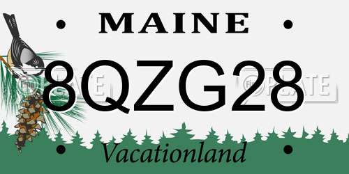 8QZG28 Maine License Plate