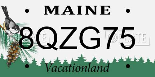 8QZG75 Maine License Plate