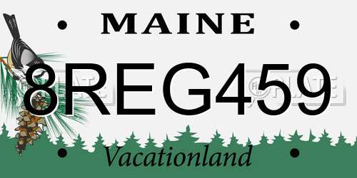 8REG459 Maine License Plate