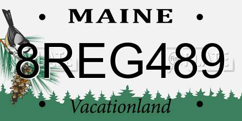 8REG489 Maine License Plate