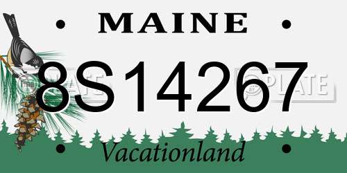 8S14267 Maine License Plate