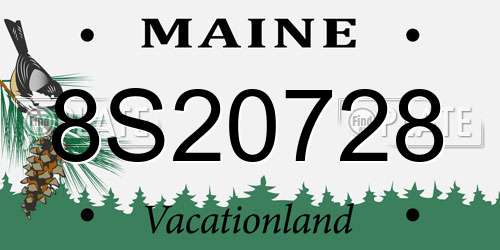 8S20728 Maine License Plate