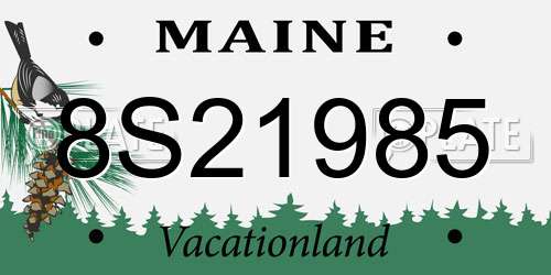8S21985 Maine License Plate
