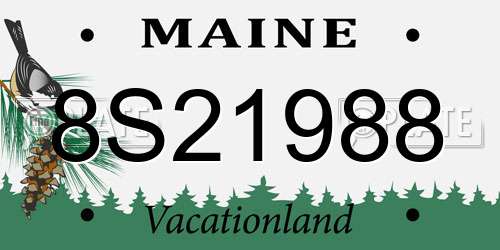 8S21988 Maine License Plate