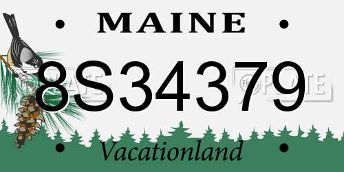 8S34379 Maine License Plate