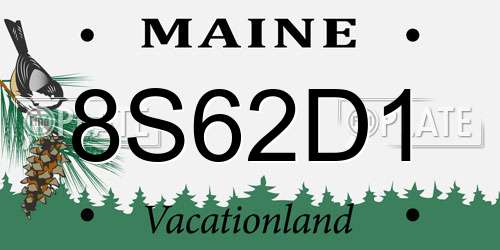 8S62D1 Maine License Plate