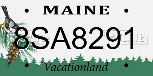 8SA8291 Maine License Plate