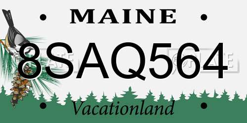 8SAQ564 Maine License Plate