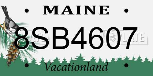 8SB4607 Maine License Plate