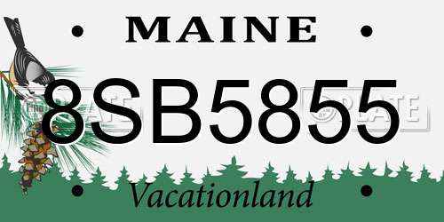 8SB5855 Maine License Plate