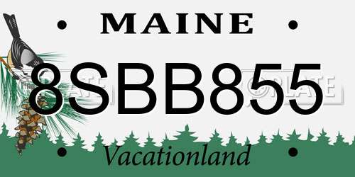 8SBB855 Maine License Plate