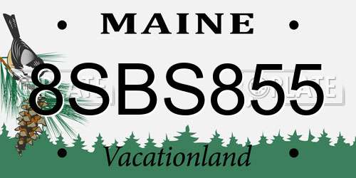 8SBS855 Maine License Plate