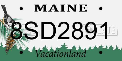8SD2891 Maine License Plate