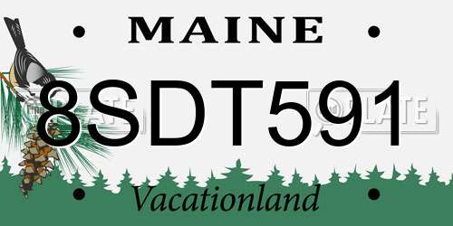 8SDT591 Maine License Plate