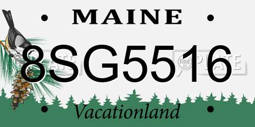 8SG5516 Maine License Plate